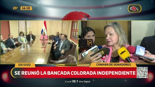 Colorados Independientes piden la presidencia - C9N