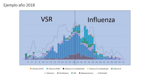 PREDOMINAN CASOS DE VIRUS SINCITIAL RESPIRATORIO - Itapúa Noticias