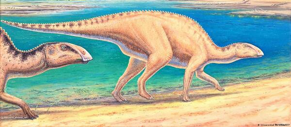 Descubren en Chile un curioso dinosaurio con "pico de pato"