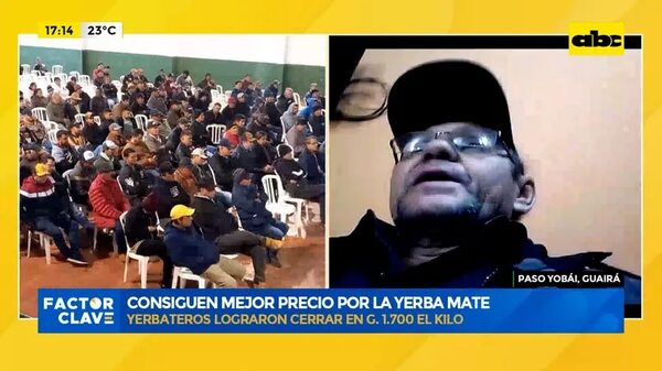 Video: Yerbateros lograron cerrar en G. 1.700 el kilo - Factor Clave - ABC Color