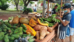 Cuba vuelve a prorrogar la importación no comercial de básicos sin aranceles - MarketData