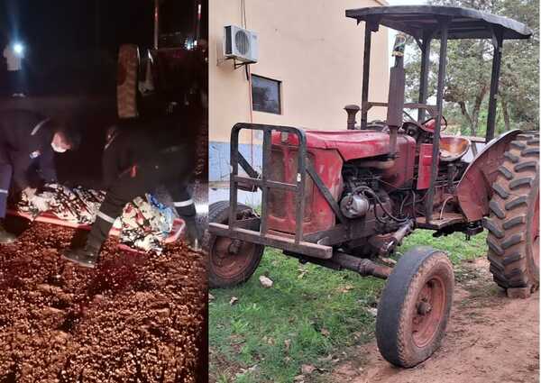 Colonia Menonita: niño de 10 años muere al caerse bajo la rueda de un tractor que conducía su propio padre