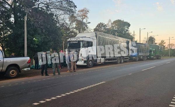 Imputan a tres conductores de tractocamiones por contrabando de productos frutihortícolas – Diario TNPRESS