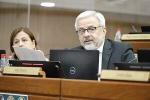 Caso Messer: Querey destaca que se procese a Boidanich, pero recalca que daño por inacción de Fiscalía es irreparable - Política - ABC Color