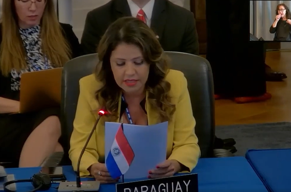 Defender la familia y la vida ante la OEA es defender la Constitución, afirma ministra