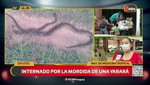 Internado por la mordida de una Yarará - C9N
