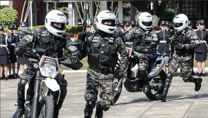 Riera promete triplicar la cantidad agentes del Grupo Lince - Noticiero Paraguay