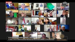 Senado aprueba proyectos de préstamos para la Ande - ADN Digital
