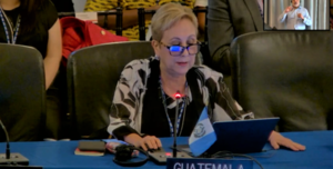 Guatemala fue otro de los países comprometidos en la defensa de la vida y la familia ante la la OEA