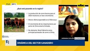 Video: Dinámica del sector ganadero - Factor Clave - ABC Color