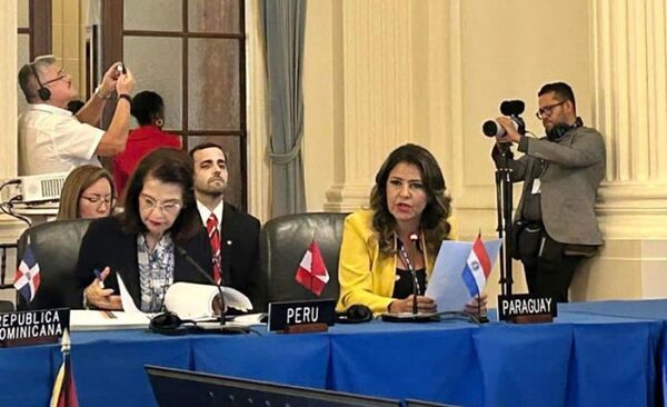 Paraguay reiteró compromiso «con la defensa de la vida y protección de la familia» ante la OEA