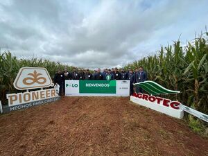 Despliegue de híbridos de maíces en la Jornada Área Polo Pioneer de Agrotec