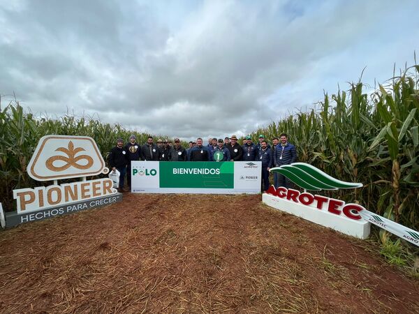 Despliegue de híbridos de maíces en la Jornada Área Polo Pioneer de Agrotec