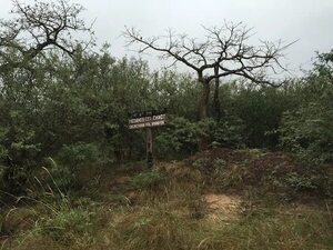 AUDIO: Diputados archivan proyecto de explotación de hidrocarburos en Médanos del Chaco - Periodísticamente - ABC Color