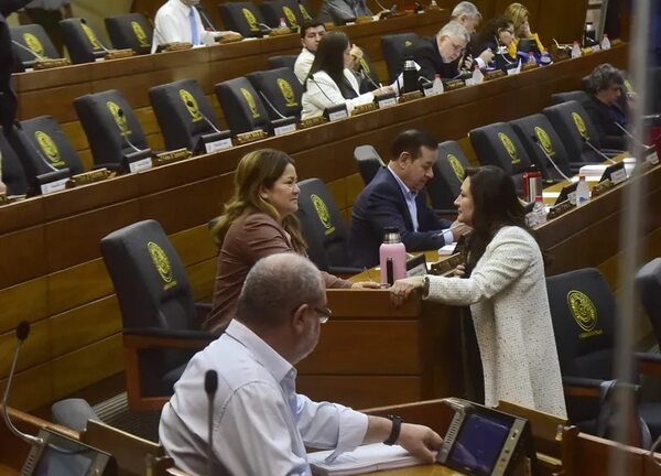 Diputados sancionan otro crédito por US$ 52 millones - Política - ABC Color
