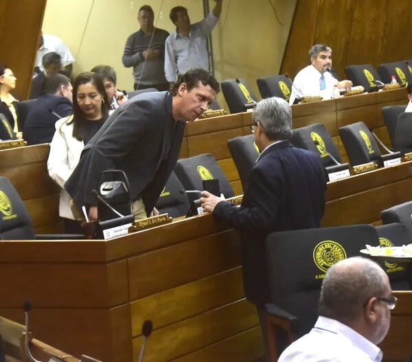 Pacto azulgrana salva de intervención a intendentes de Caapucú y Loma Grande - Política - ABC Color