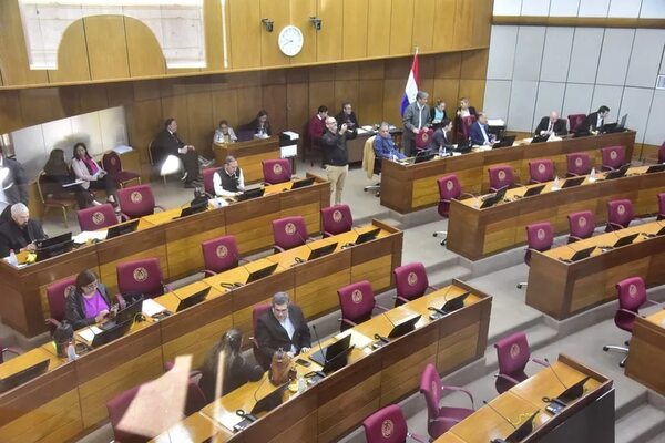 Senado aprueba US$ 267 millones para la ANDE - Política - ABC Color