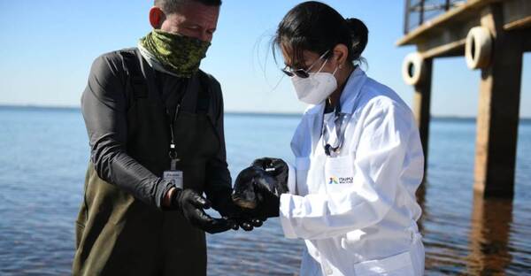 ITAIPU impulsa acciones para pesca sostenible y devolución de peces marcados
