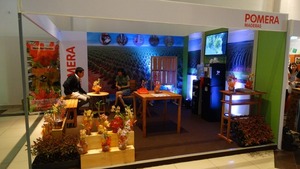 Este viernes arranca la Expo Madera Paraguay en el Centro de Convenciones Mariscal - .::Agencia IP::.