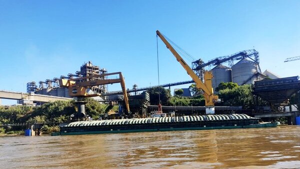 Creció participación de Argentina en compras de soja paraguaya