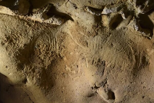 Hallan en Francia grabados de Neandertal, potencialmente los más antiguos de Europa - Ciencia - ABC Color
