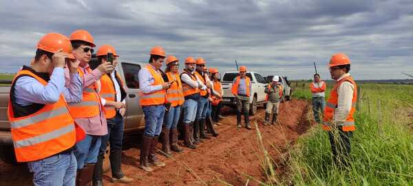 Aseguran que cultivos forestales compiten en rentabilidad con proyectos agrícolas y ganaderos - MarketData