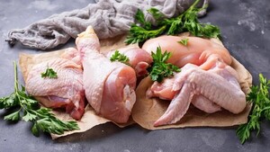 La carne aviar ya llegó a 26 países en el mundo | Agronegocios | 5Días
