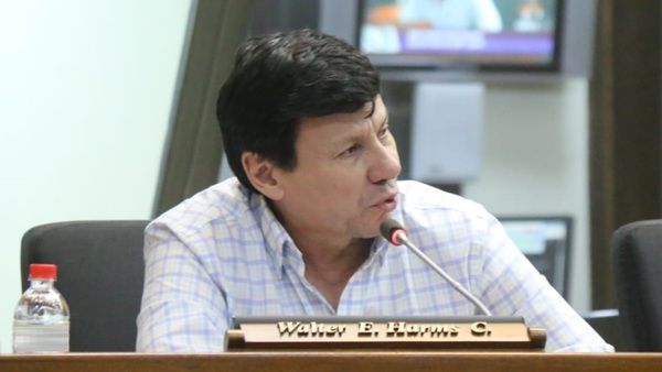 Walter Harms desmiente haber pedido expulsar a Mario Abdo de ANR