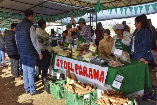 Itapúa se prepara para la tercera edición de la Feria de la Agricultura Familiar