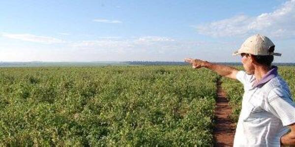 Campesinos de Marina Cue por fin tendrán sus tierras, a 10 años de la masacre - La Tribuna