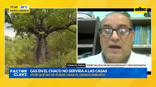 Médanos del Chaco: El gas es una excusa “poco creíble”, dice especialista - Factor Clave - ABC Color