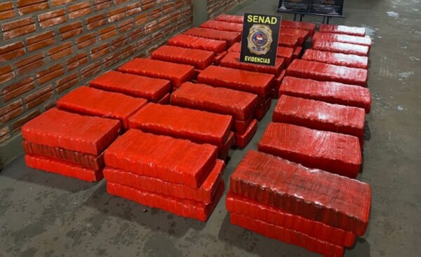 Senad detecta más de 800 kilos de marihuana