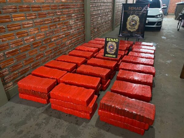 Senad detecta más de 800 kilos de marihuana empaquetados en zona del río Paraná