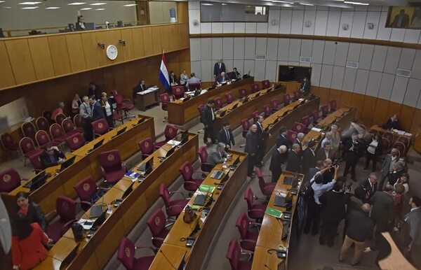 Seguridad privada, indemnizaciones, universidades y más en la última sesión ordinaria del Senado - Política - ABC Color