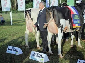 Se realiza la I edición del concurso de la leche - Empresariales - ABC Color