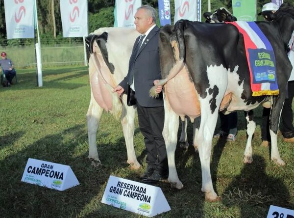 Se realiza la I edición del concurso de la leche - Empresariales - ABC Color