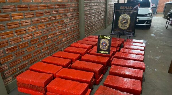 Salto del Guairá: detectan casi una tonelada de marihuana a orillas del Piray - Oasis FM 94.3