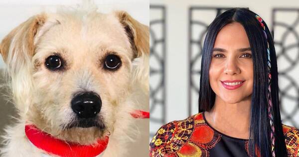 La Nación / ¡Paco busca hogar!, Norita rescató un perro y lo pondrá en adopción