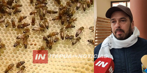 PRODUCTORES DE ITAPÚA PARTICIPARÁN EN VIII CONGRESO DE APICULTURA - Itapúa Noticias