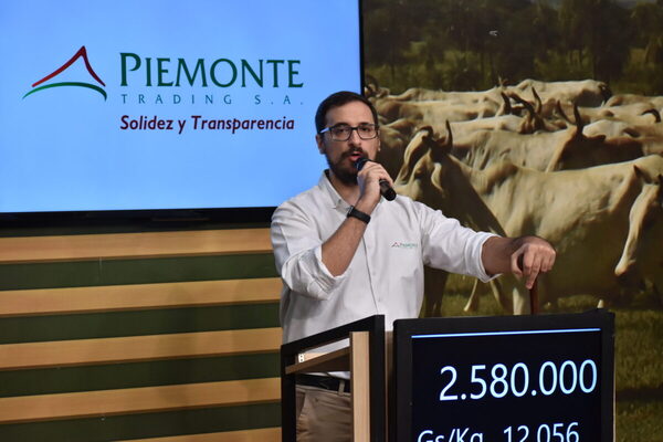 Este sábado, Piemonte remata desmamantes machos y toritos marca líquida de Ganadera W