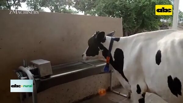 Video: Desean implementar en Paraguay tecnología de nutrición de lecheras, utilizado en Israel - ABC Rural - ABC Color