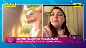 Video: Ehrlichiosis, bacteria transmitida por garrapatas - Ensiestados - ABC Color
