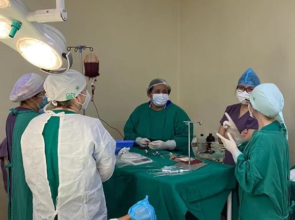 Síndrome de Wiskott Aldrich: Exitoso trasplante de células madre a paciente con rara enfermedad - Nacionales - ABC Color