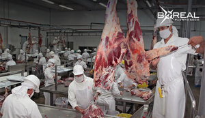 Envío de carne paraguaya a Canadá abrirá puertas a otros mercados, asegura ministro - Unicanal