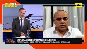 Médanos del Chaco: Presentarán otro proyecto para utilizar los recursos  - Mesa de Periodistas - ABC Color