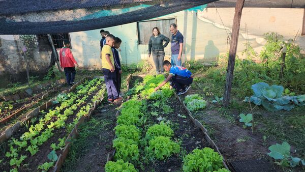 En una escuela urbana producen hortalizas para comedor de niños