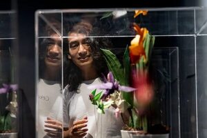 La exposición de origami “Orquídeas y colibríes”, del mexicano Cekouat León - Viajes - ABC Color