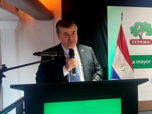 Industriales madereros piden mejores acciones públicas para su sector - La Tribuna