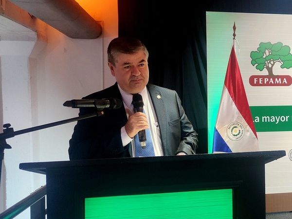 Industriales madereros piden mejores acciones públicas para su sector - La Tribuna
