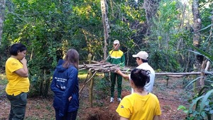 Diario HOY | Mbaracayú Yerba Mate Guataha: un viaje a la historia, cultura y producción